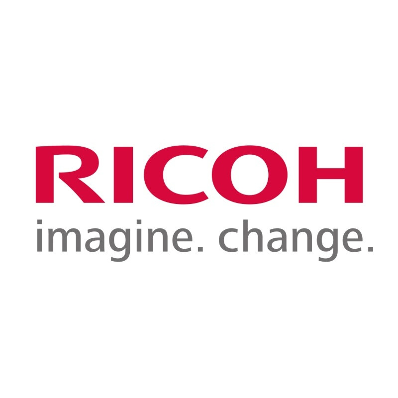 Ricoh D1362448 (D136-2448) SEAL:CLEANING BLADE:FRONT