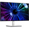 Dell U2424HE Monitorius 24'' IPS FHD 1920x1080, Silver