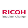 Ricoh D1366947 (D136-6947) OZONE FILTER:EXIT