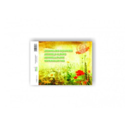 Akvarelinis sąsiuvinis SMLT, A4, 200 g, klijuotas, (10) 0708-205