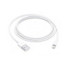 Apple Lightning į USB-A Kabelis, 1 m, Balta