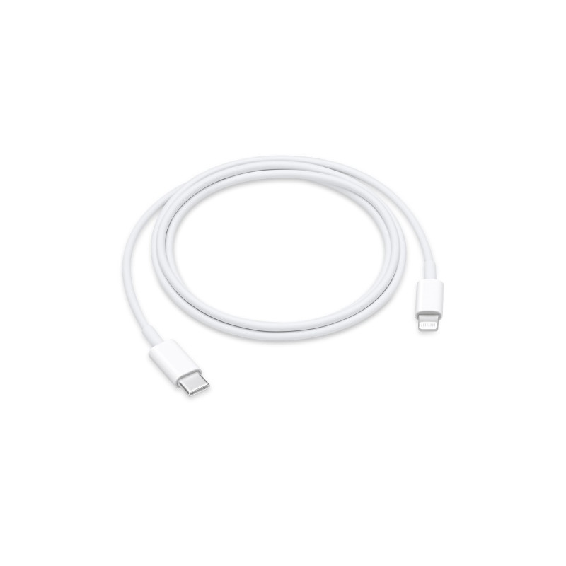 Apple USB-C Male į Lightning Male Kabelis 1m, Balta