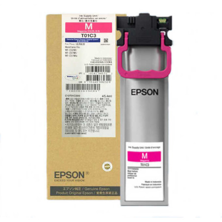 Kasetė Epson T01C300 (C13T01C300) MG 5K OEM