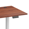 Reguliuojamo aukščio stalas Up Up Bjorn II Baltas, Stalviršis M Tamsaus riešuto spalvos