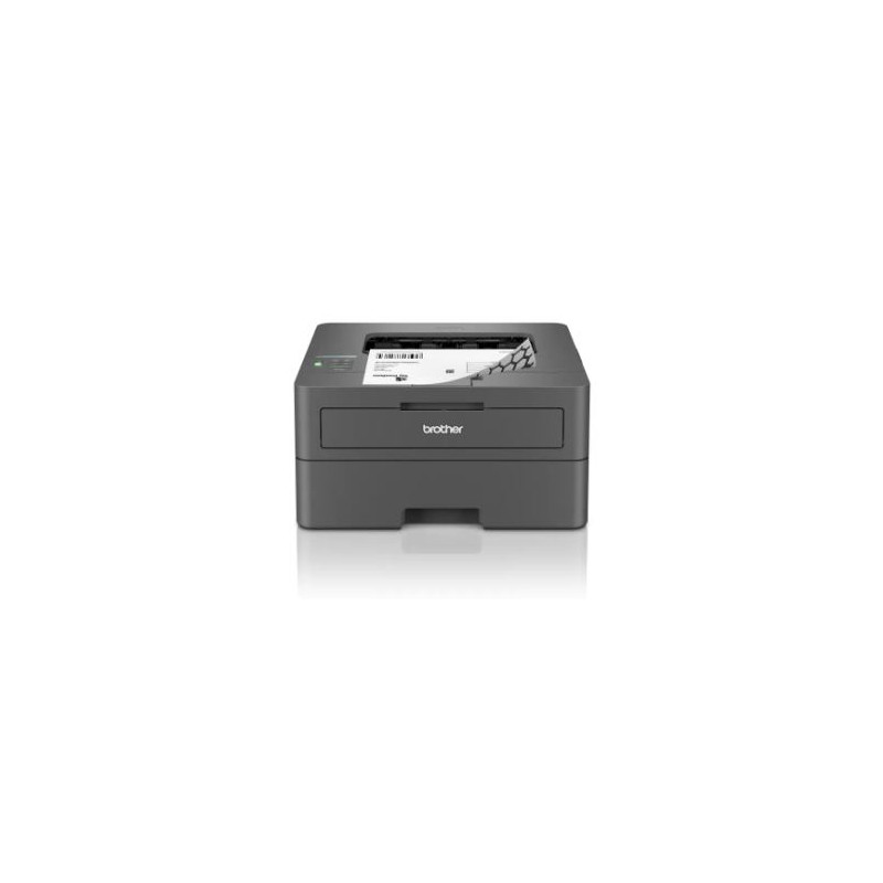 Spausdintuvas BROTHER HL-L2400DW Mono Duplex Wifi