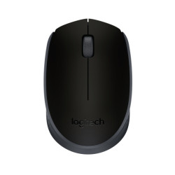 Logitech M171 Belaidė pelė RF Wireless, 1000 DPI, Black/Grey