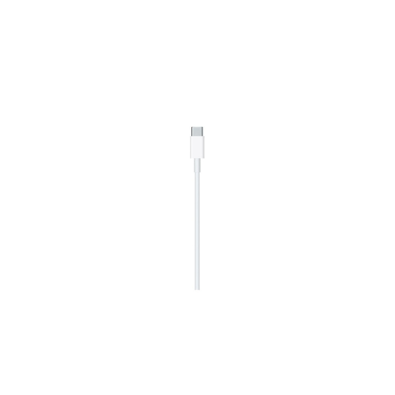Apple lightning cable 2 m White